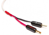 WireWorld Stream 8 - STS...