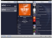 Reproductor Audio en Red Moon Mind 180