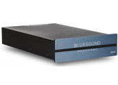 BlueSound B100S