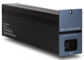 BlueSound B160S