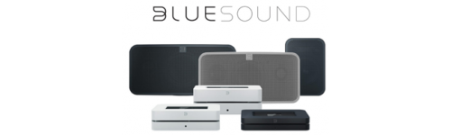 BlueSound multi-room