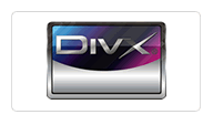 The DivX logo